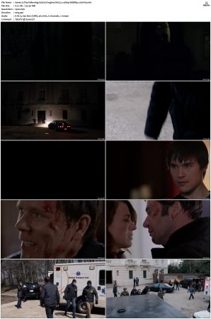 The Following S02 WEBRip EAC3 5 1 1080p x265-iVy