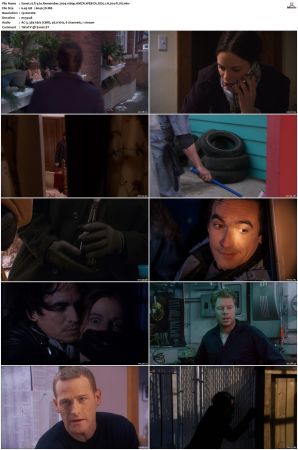 Try to Remember 2004 1080p AMZN WEB-DL DD5 1 H 264-FLUX