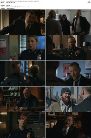Blue Bloods S12 WEBRip EAC3 5 1 1080p x265-iVy