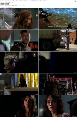 Terminator The Sarah Connor Chronicles S02 Bluray EAC3 5 1 1080p x265-iVy