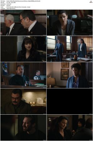 Blue Bloods S07 WEBRip EAC3 5 1 1080p x265-iVy
