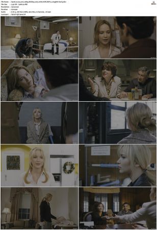 Joy 2015 1080p BluRay x265 10-bit HDR DDP 5.1-DarQ