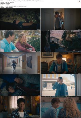 The Map of Tiny Perfect Things 2021 1080p AMZN WEBRip DDP 5.1 x265-EDGE2020