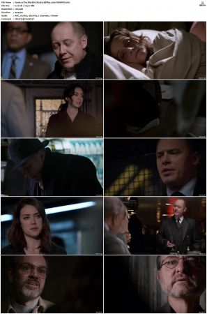 The Blacklist S01-S10 + Redemption DVDRip BDRip x264-Scene