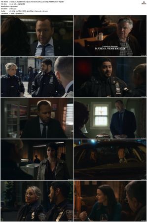 Blue Bloods S13 WEBRip EAC3 5 1 1080p x265-iVy