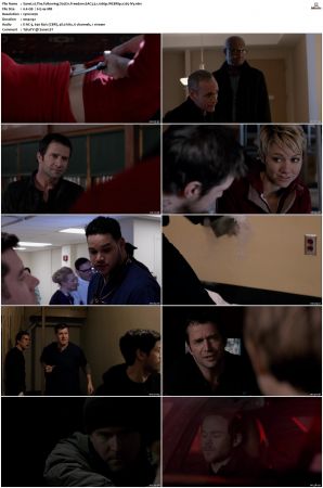 The Following S02 WEBRip EAC3 5 1 1080p x265-iVy
