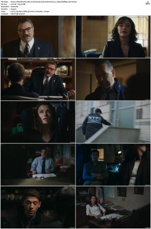 Blue Bloods S11 WEBRip EAC3 5 1 1080p x265-iVy
