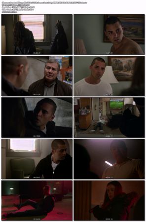 Chicago PD 2014 S11E09 Somos Uno 1080p AMZN WEB-DL DDP 5 1 x265 - YELLO