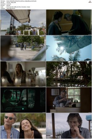 Bloodline S01 Bluray EAC3 5.1 1080p x265-iVy