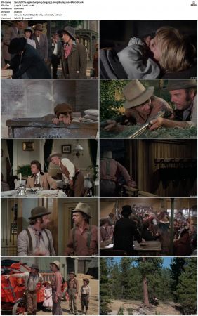 The Apple Dumpling Gang 1975 1080p BluRay x264-BARC0DE