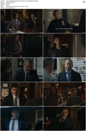 Blue Bloods S13 WEBRip EAC3 5 1 1080p x265-iVy