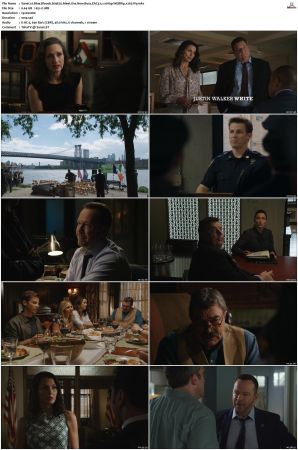 Blue Bloods S09 WEBRip EAC3 5 1 1080p x265-iVy
