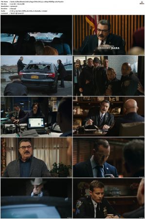 Blue Bloods S10 WEBRip EAC3 5.1 1080p x265-iVy