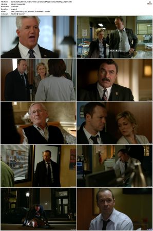 Blue Bloods S03 WEBRip EAC3 5 1 1080p x265-iVy