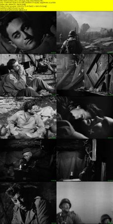 Story of G.I. Joe 1945 720p x264-Classics