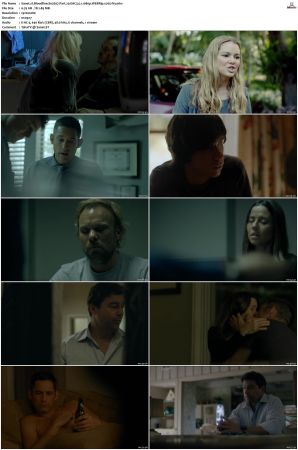 Bloodline S02 WEBRip EAC3 5.1 1080p x265-iVy