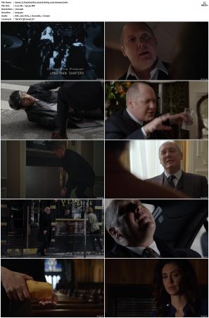 The Blacklist S01-S10 + Redemption DVDRip BDRip x264-Scene