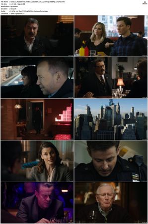 Blue Bloods S08 WEBRip EAC3 5 1 1080p x265-iVy
