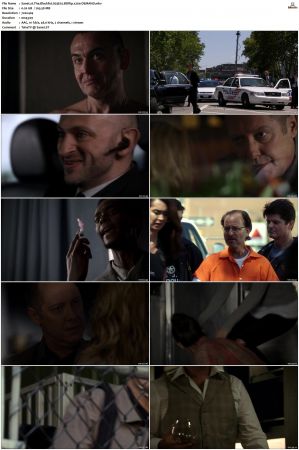 The Blacklist S01-S10 + Redemption DVDRip BDRip x264-Scene
