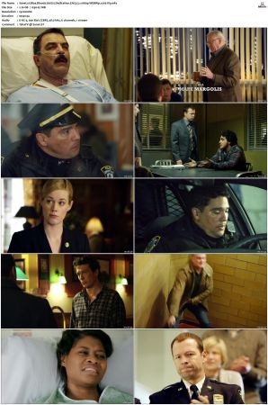Blue Bloods S01 WEBRip EAC3 5 1 1080p x265-iVy