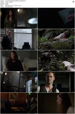The Blacklist S01-S10 + Redemption DVDRip BDRip x264-Scene