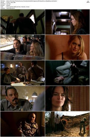Terminator The Sarah Connor Chronicles S02 Bluray EAC3 5 1 1080p x265-iVy