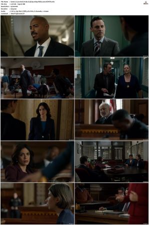 Law And Order S23E09 1080p WEB x264-SOiNTA