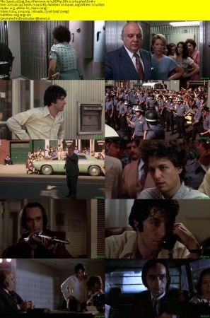 Dog Day Afternoon 1975 BDRip DD1.0 x264-playSD