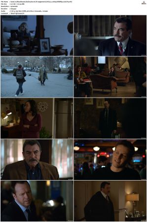 Blue Bloods S04 WEBRip EAC3 5 1 1080p x265-iVy