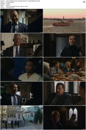 Blue Bloods S12 WEBRip EAC3 5 1 1080p x265-iVy
