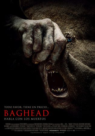 Baghead 2023 2160p WEB-DL DV HDR H265-AOC