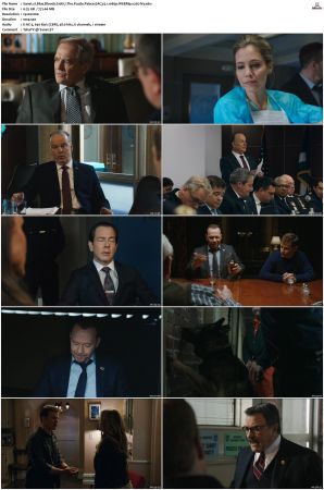 Blue Bloods S10 WEBRip EAC3 5.1 1080p x265-iVy
