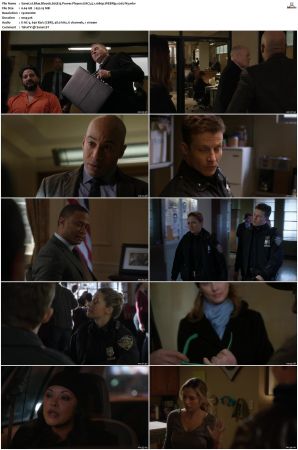 Blue Bloods S05 WEBRip EAC3 5 1 1080p x265-iVy