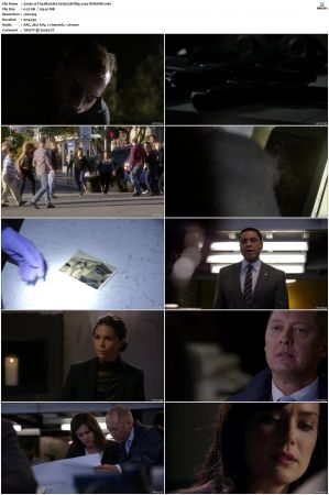 The Blacklist S01-S10 + Redemption DVDRip BDRip x264-Scene