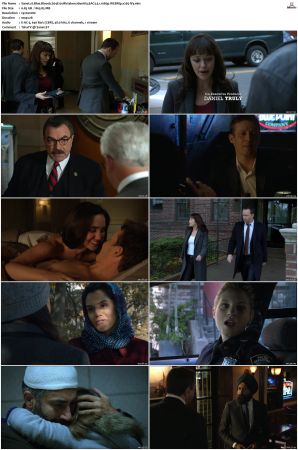 Blue Bloods S04 WEBRip EAC3 5 1 1080p x265-iVy