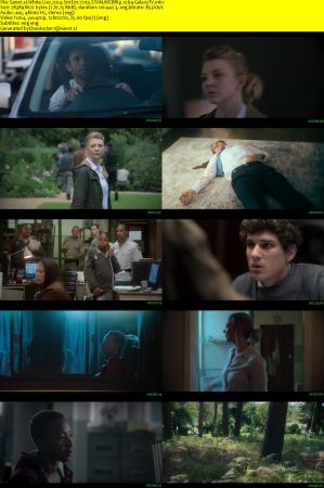 White Lies 2024 S01 COMPLETE 720p STAN WEBRip x264-GalaxyTV