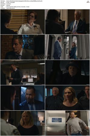 Blue Bloods S13 WEBRip EAC3 5 1 1080p x265-iVy