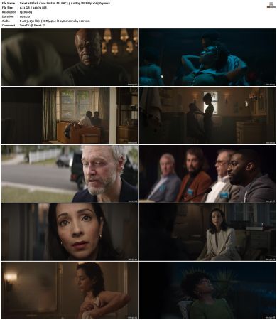 Black Cake S01 WEBRip EAC3 5 1 1080p x265-iVy