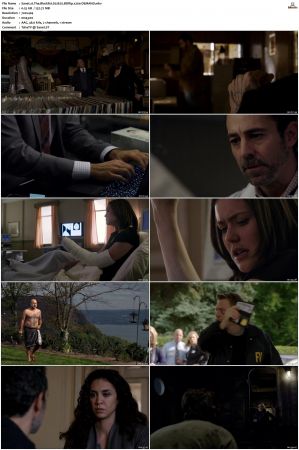 The Blacklist S01-S10 + Redemption DVDRip BDRip x264-Scene