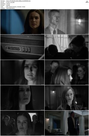 The Blacklist S01-S10 + Redemption DVDRip BDRip x264-Scene