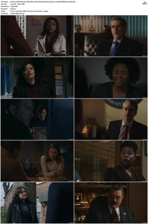 Blue Bloods S11 WEBRip EAC3 5 1 1080p x265-iVy