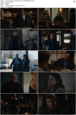 Blue Bloods S11 WEBRip EAC3 5 1 1080p x265-iVy