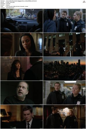 Blue Bloods S05 WEBRip EAC3 5 1 1080p x265-iVy
