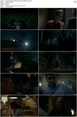 Bloodline S03 WEBRip EAC3 5.1 1080p x265-iVy