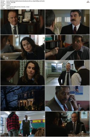 Blue Bloods S08 WEBRip EAC3 5 1 1080p x265-iVy