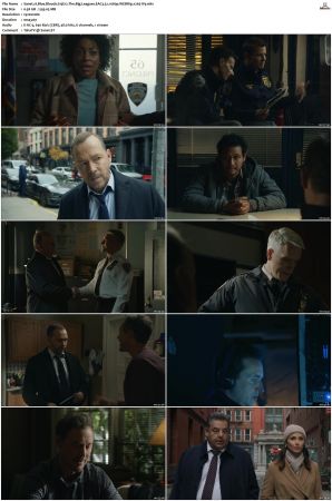 Blue Bloods S13 WEBRip EAC3 5 1 1080p x265-iVy