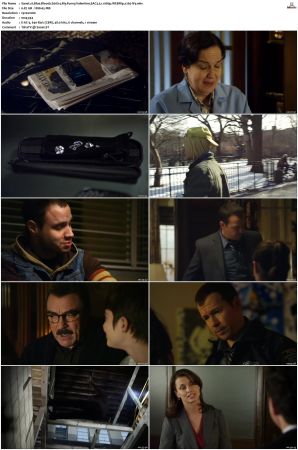 Blue Bloods S01 WEBRip EAC3 5 1 1080p x265-iVy
