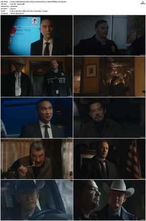 Blue Bloods S13 WEBRip EAC3 5 1 1080p x265-iVy