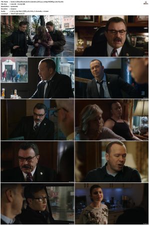 Blue Bloods S07 WEBRip EAC3 5 1 1080p x265-iVy