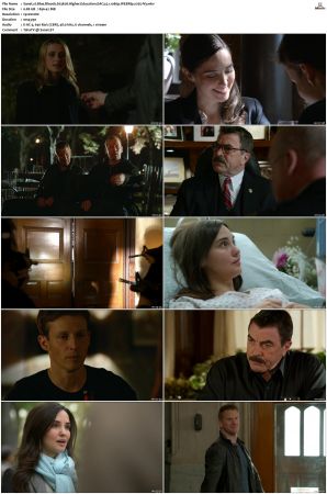Blue Bloods S03 WEBRip EAC3 5 1 1080p x265-iVy